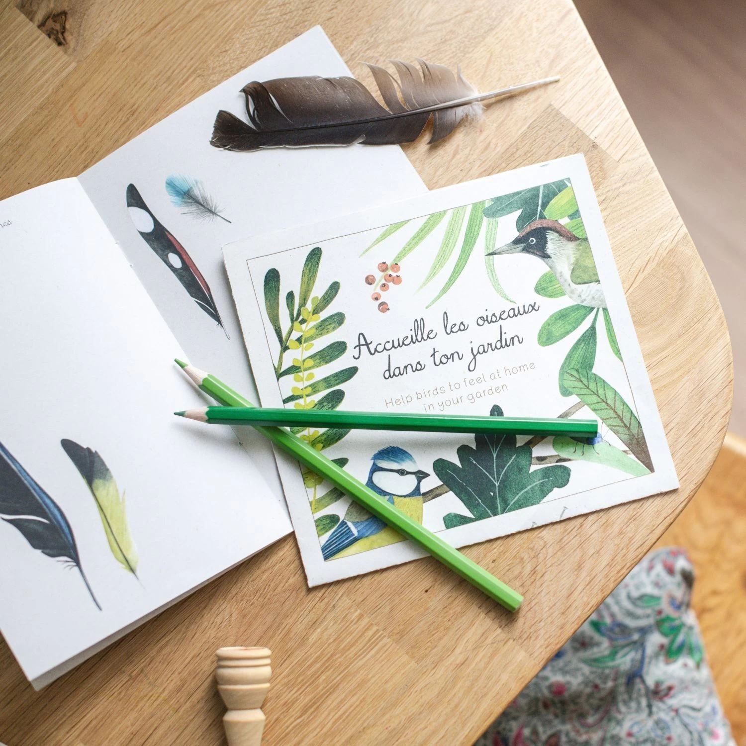 Moulin Roty Coffret Découverte Oiseaux 13 Moulin Roty Coffret Découverte Oiseaux – Image 13