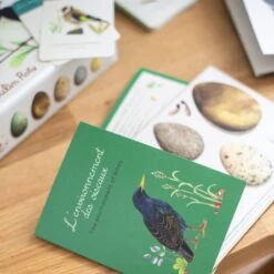 Moulin Roty Coffret Découverte Oiseaux 28 Moulin Roty Coffret Découverte Oiseaux -Magasin bébé 3