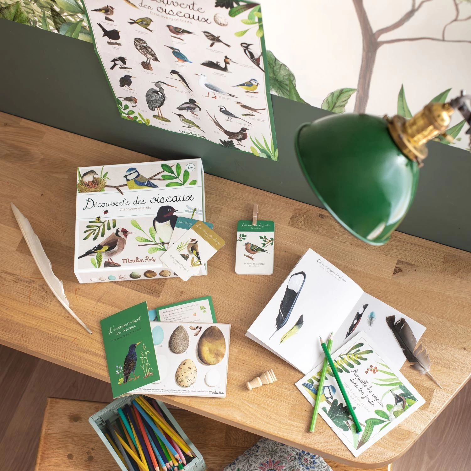 Moulin Roty Coffret Découverte Oiseaux 12 Moulin Roty Coffret Découverte Oiseaux – Image 12