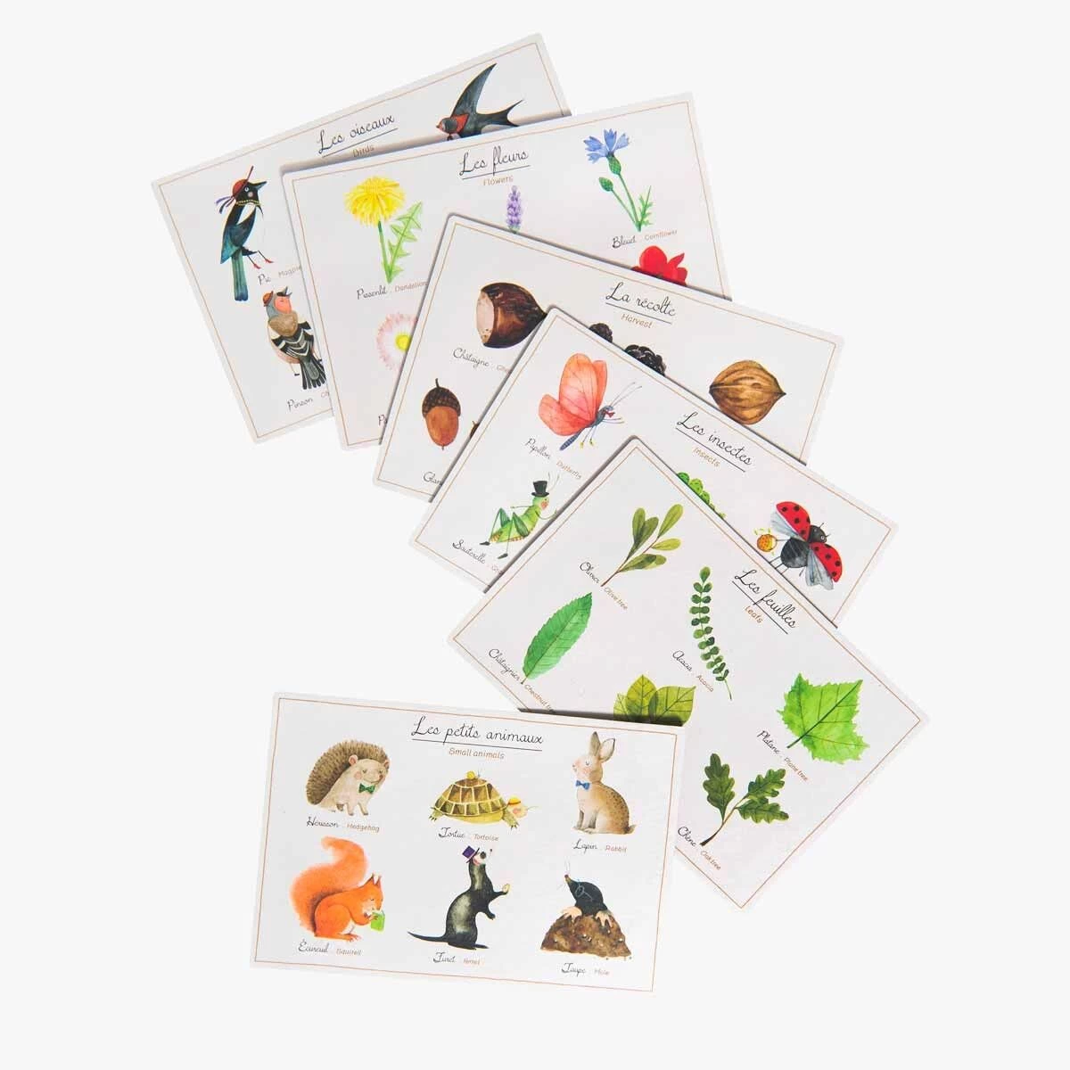 Moulin Roty Loto De La Nature 4 Moulin Roty Loto De La Nature – Image 4