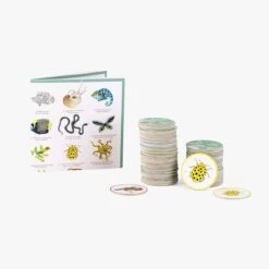 Moulin Roty Memory Des Animaux