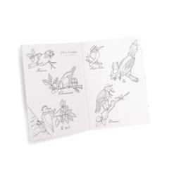 Moulin Roty Coffret Découverte Oiseaux 23 Moulin Roty Coffret Découverte Oiseaux -Magasin bébé Coffret Decouverte oiseaux Le Jardin du Moulin Moulin Roty 11