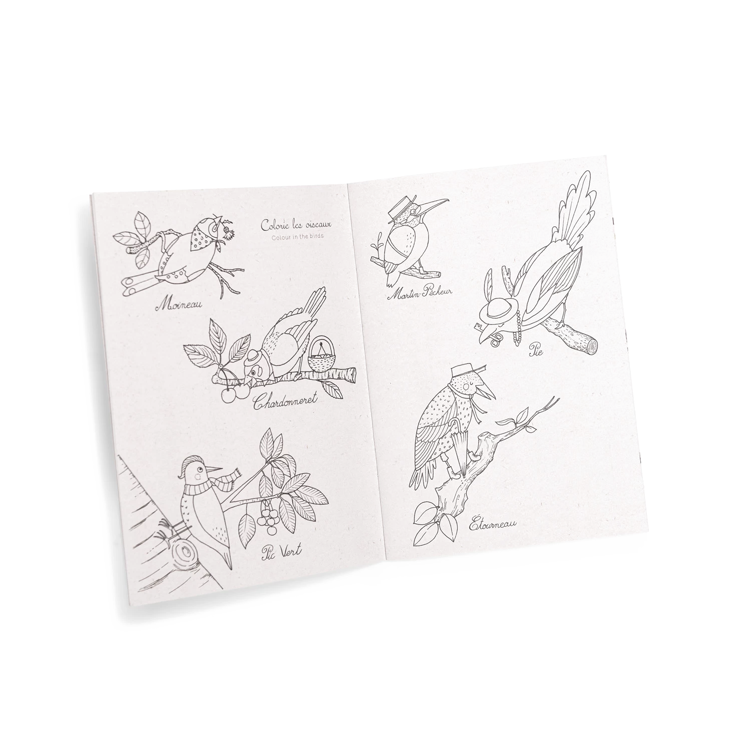 Moulin Roty Coffret Découverte Oiseaux 9 Moulin Roty Coffret Découverte Oiseaux – Image 9