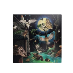 Moulin Roty Coffret Découverte Oiseaux 17 Moulin Roty Coffret Découverte Oiseaux -Magasin bébé Coffret Decouverte oiseaux Le Jardin du Moulin Moulin Roty 2