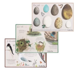 Moulin Roty Coffret Découverte Oiseaux 20 Moulin Roty Coffret Découverte Oiseaux -Magasin bébé Coffret Decouverte oiseaux Le Jardin du Moulin Moulin Roty 8