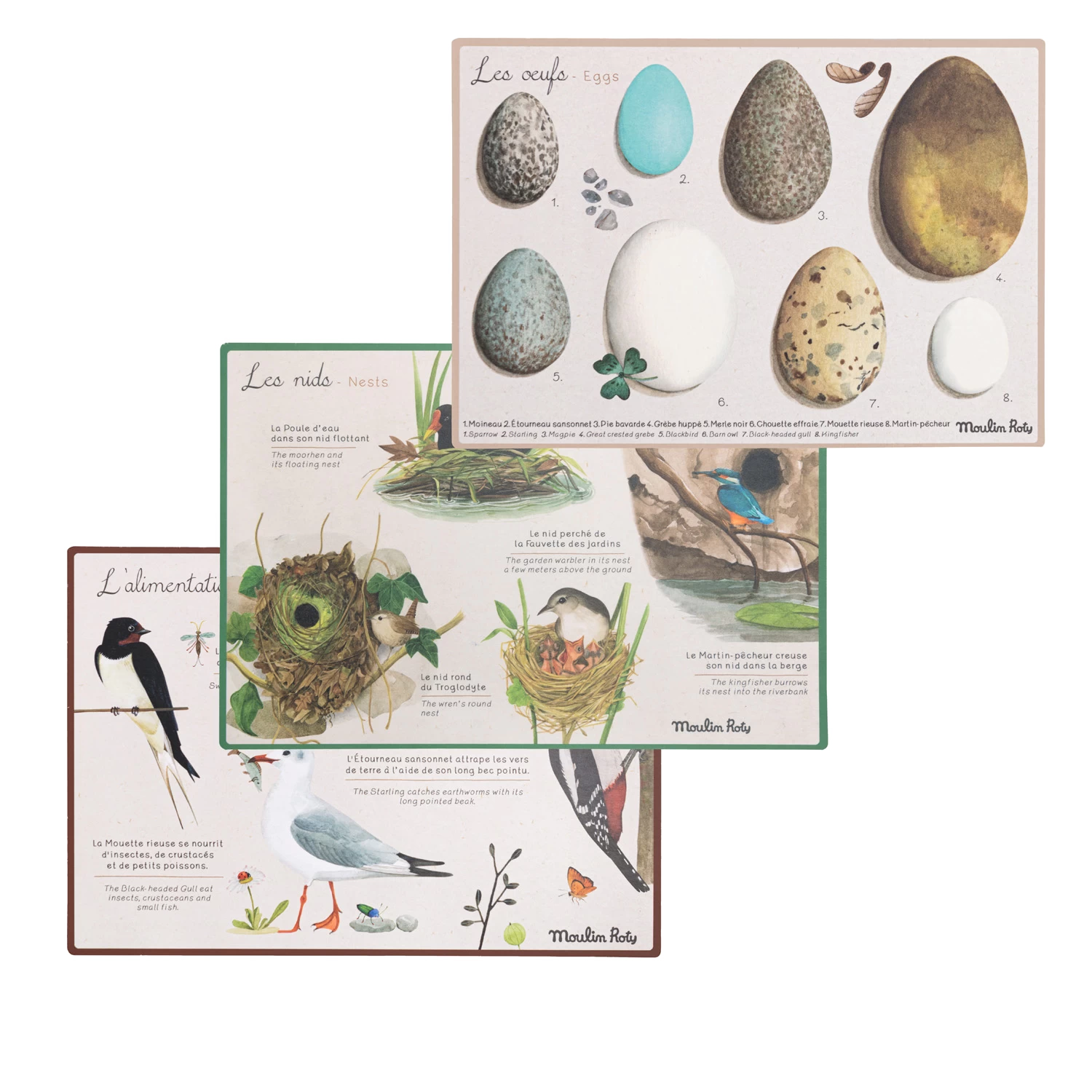 Moulin Roty Coffret Découverte Oiseaux 6 Moulin Roty Coffret Découverte Oiseaux – Image 6