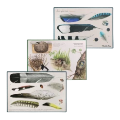 Moulin Roty Coffret Découverte Oiseaux 21 Moulin Roty Coffret Découverte Oiseaux -Magasin bébé Coffret Decouverte oiseaux Le Jardin du Moulin Moulin Roty 9